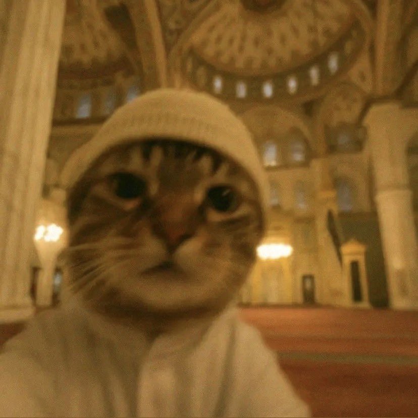 𝙺𝚑𝚊𝚕𝚒𝚍 •• ♧ tweet media