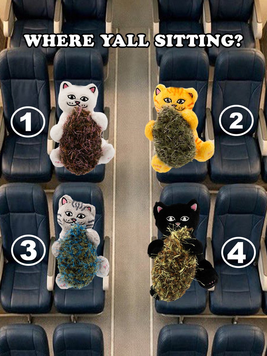 RIPNDIP tweet media