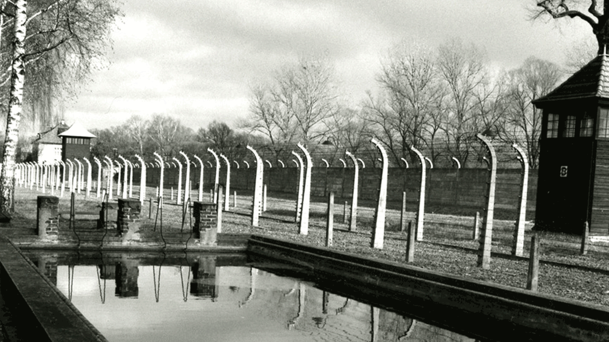 Shikikan tweet media