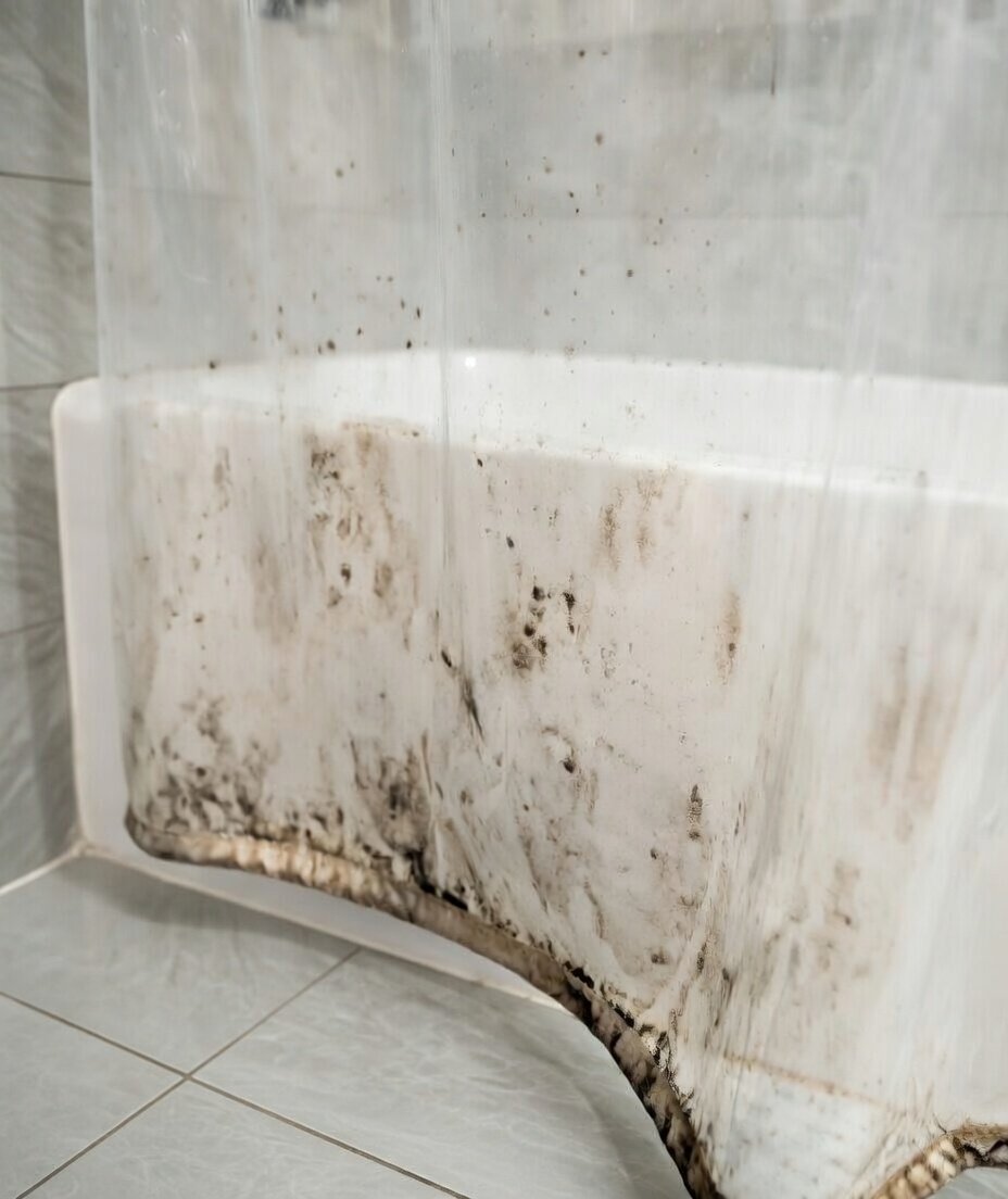 ຸLaura Bennett tweet media