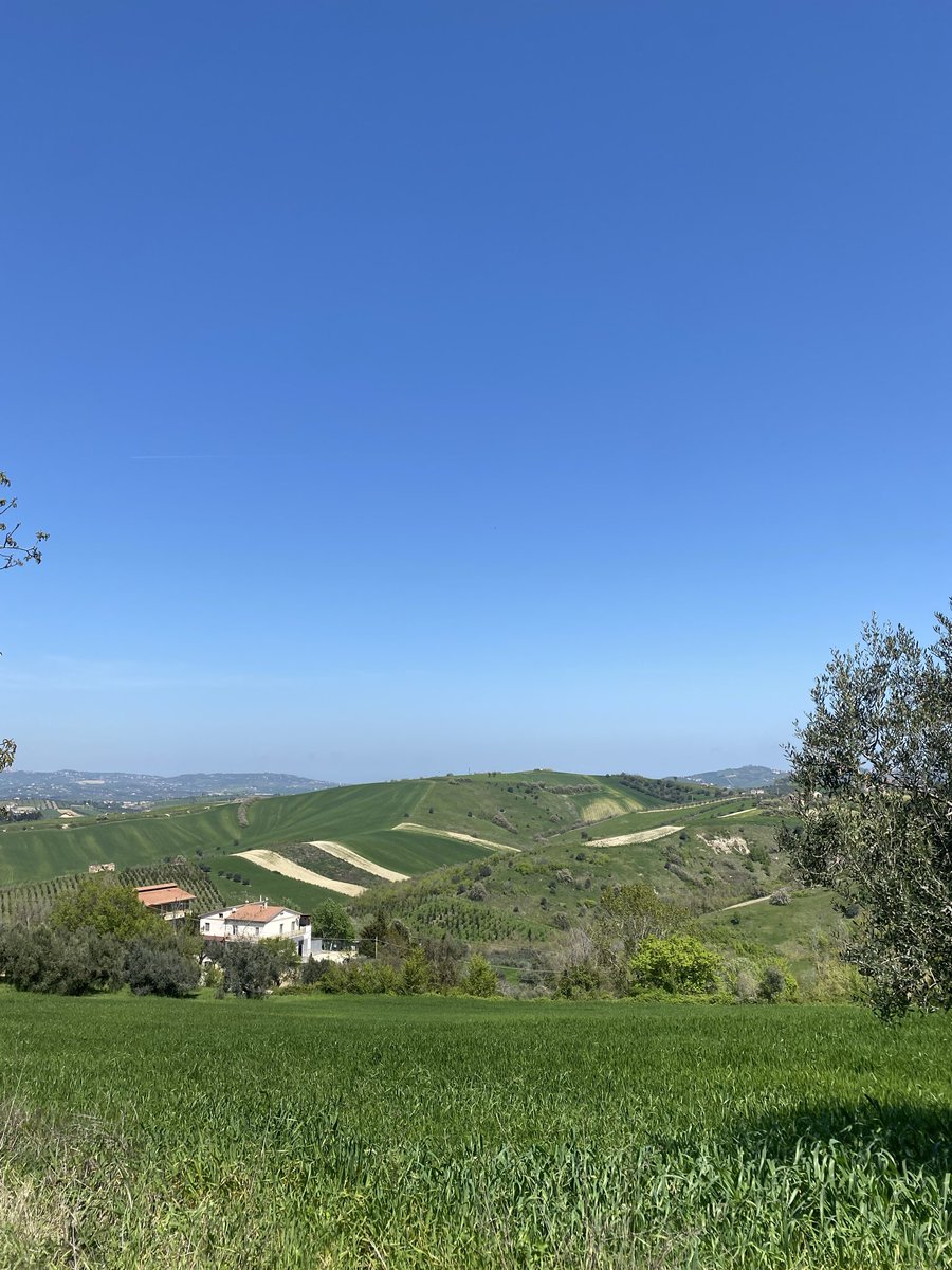 Found myself thinking about data quality in the AI era on my walk.

Isn’t that a huge bottleneck?

Is the data correct?
Do we catch anomalies in time?
What happens if we let agents loose in our systems?

Are there public pure plays to invest in?