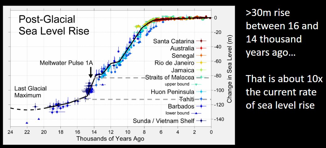 Dr. Matthew M. Wielicki tweet media