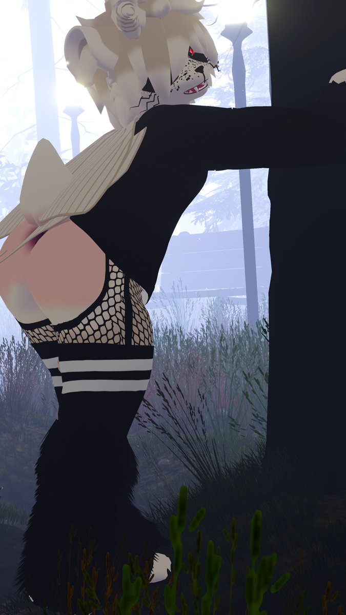 🔞Seph:3💡🌟 tweet media