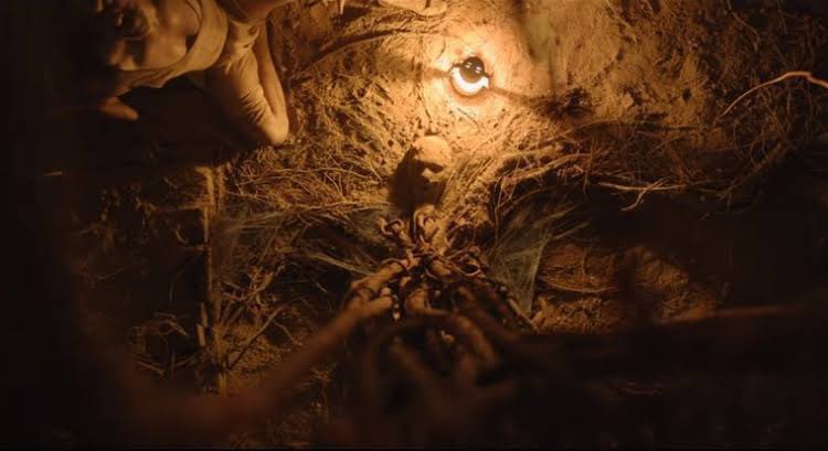 Charlotte Summertimes tweet media