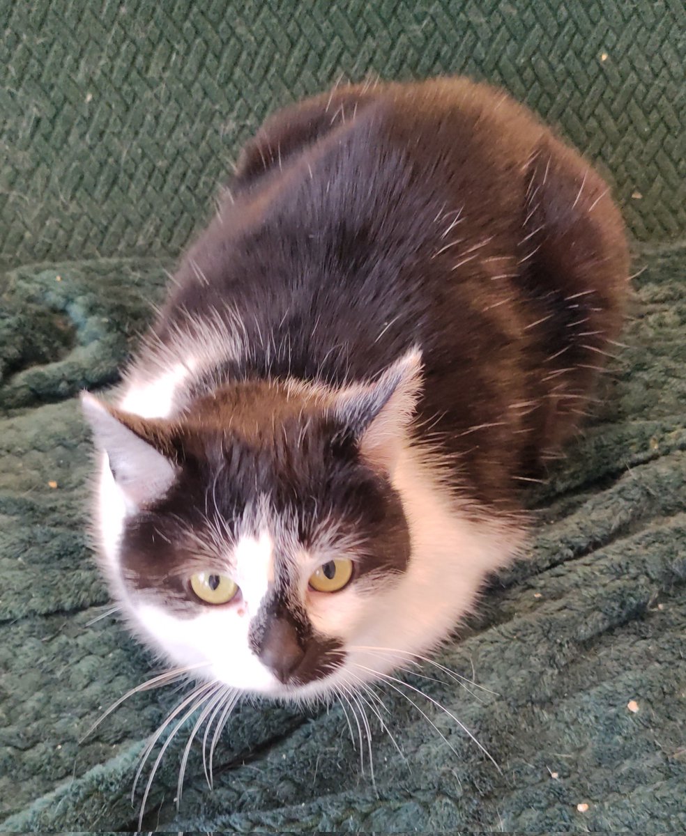 gabi ✨ tweet media