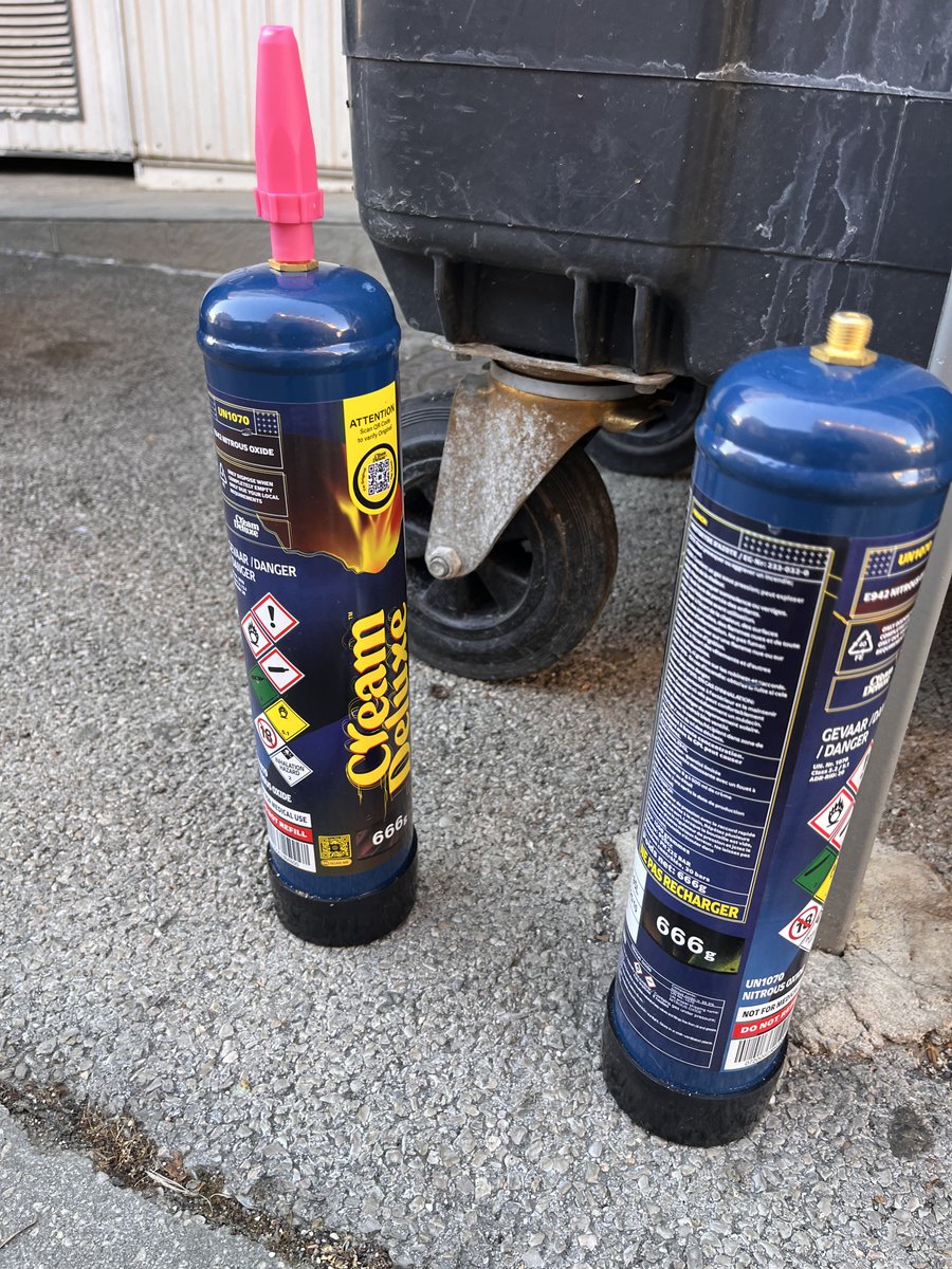 Cataddict tweet media