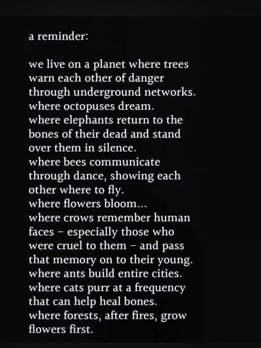 eringrossi's tweet photo. As @NeriOxman asks, what does #nature want? The scales of communication &amp; knowledge transfer across the natural world can be better understood today. How fascinating! https://t.co/JFnd4hPeQX