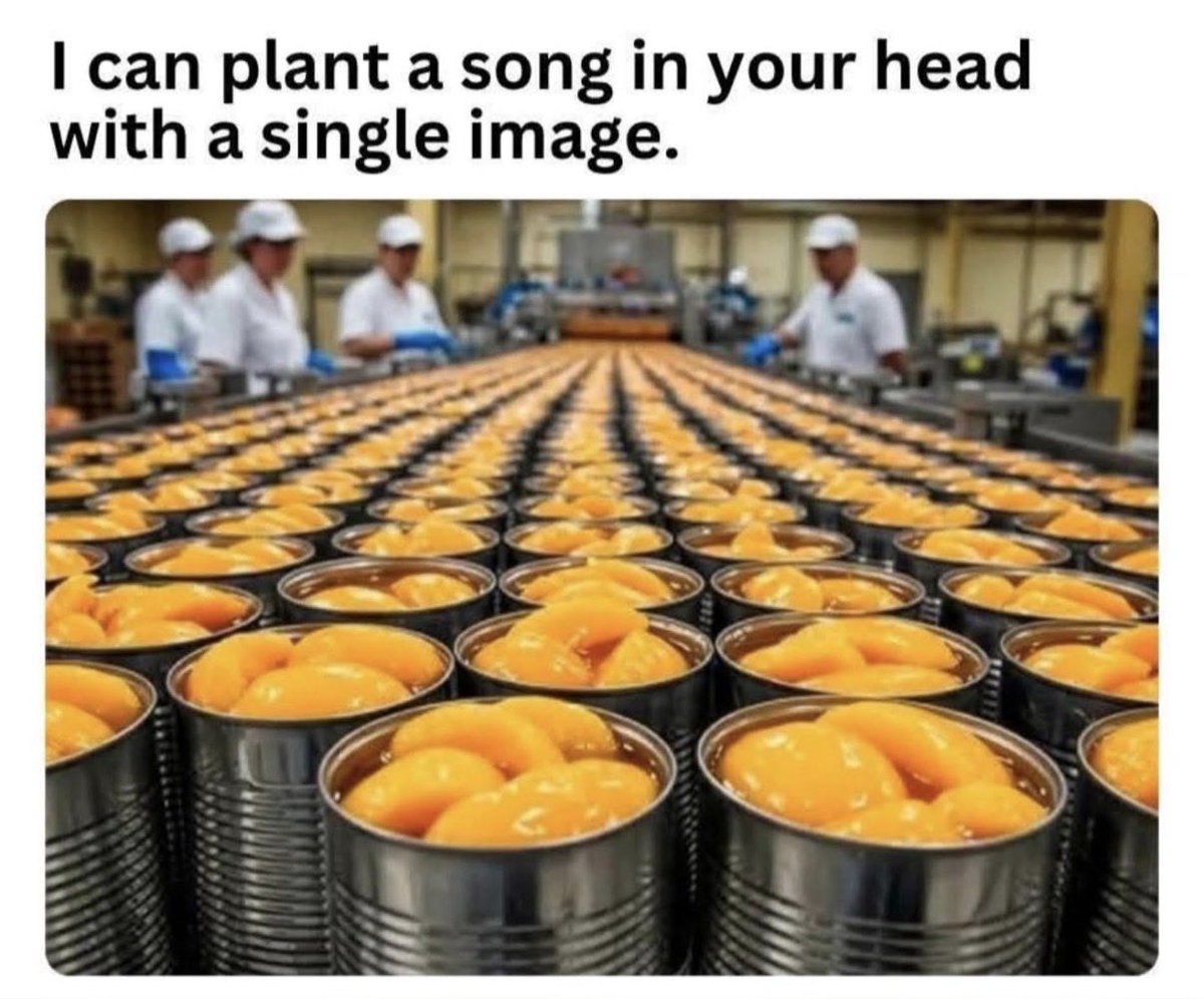 Prairie Putz tweet media