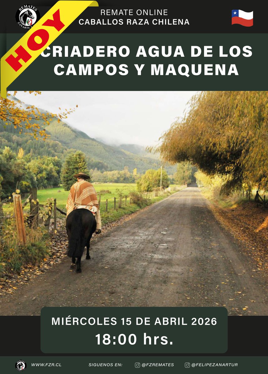 Remates Fernando Zañartu Rozas y Cía. Ltda - CHILE tweet media