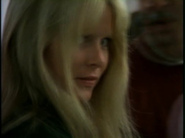 David Wahle tweet media