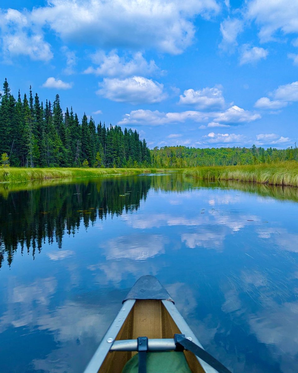Friends of the BWCAW tweet media