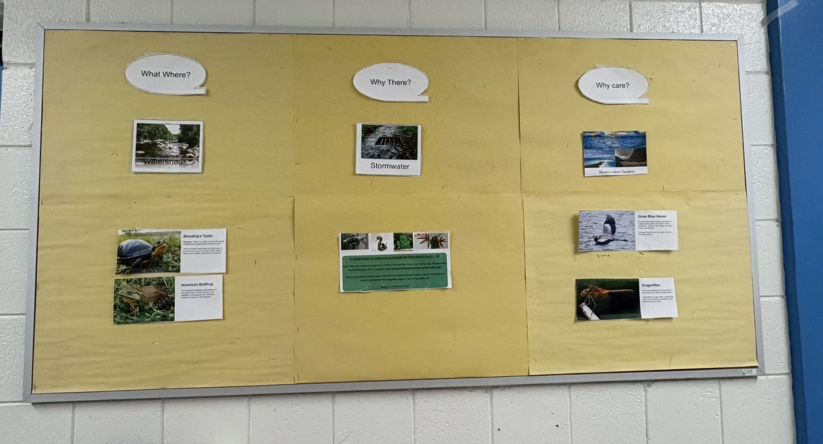 St. Brigid School tweet media