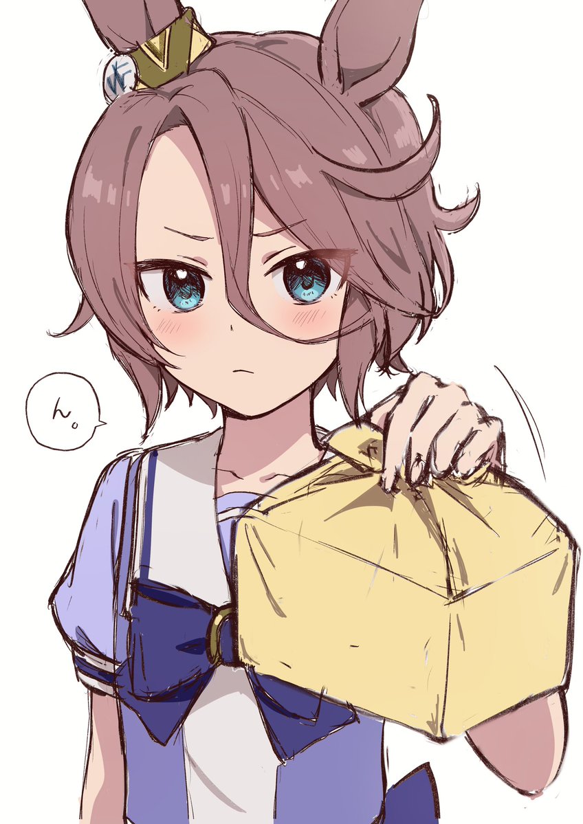 お弁当作ってくれたナリタタイシン