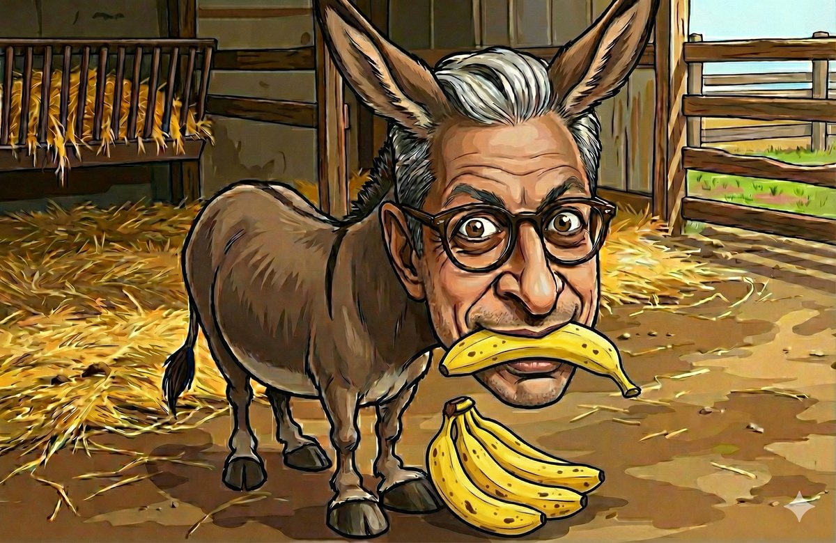 Fernando tweet media