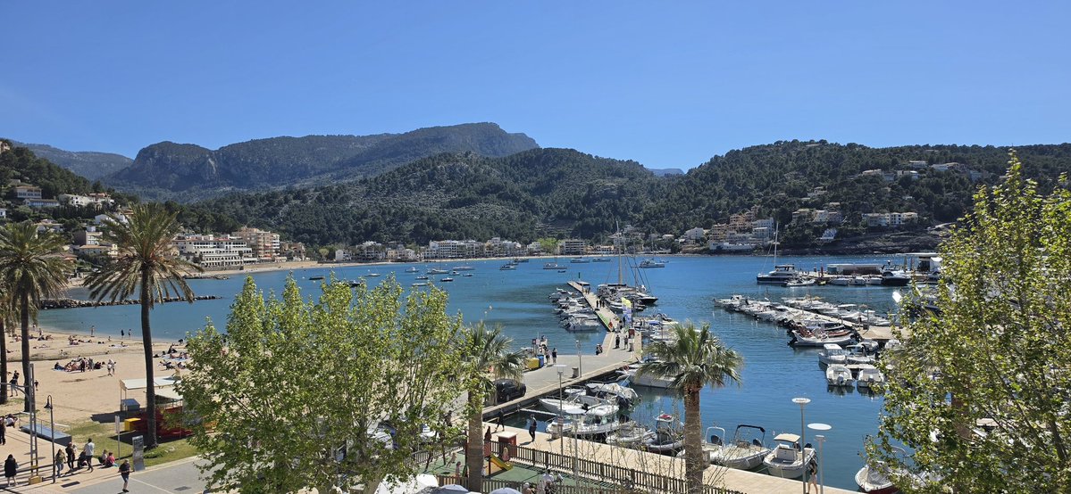 Martin Dixon tweet media