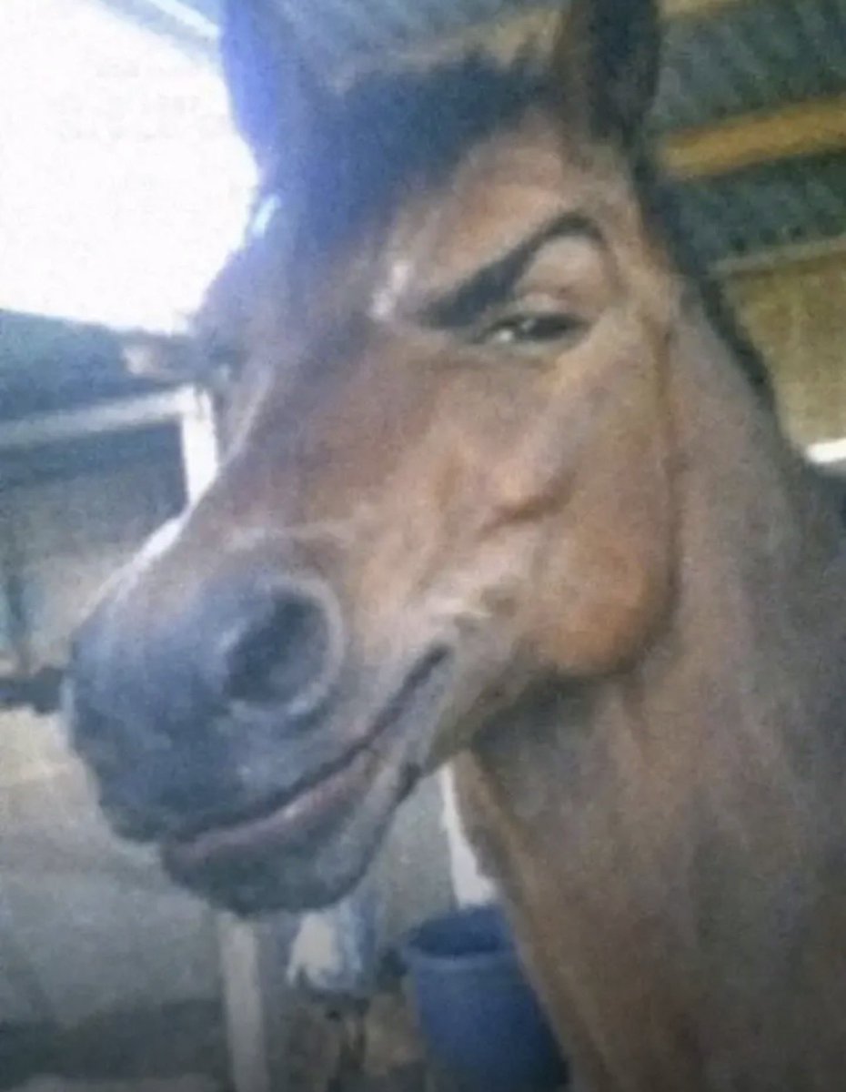 MonochromeXR tweet media