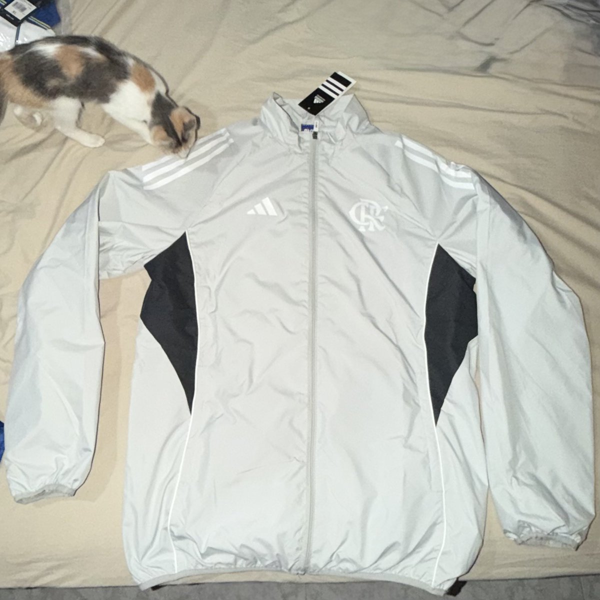 agus🇨🇻 tweet media