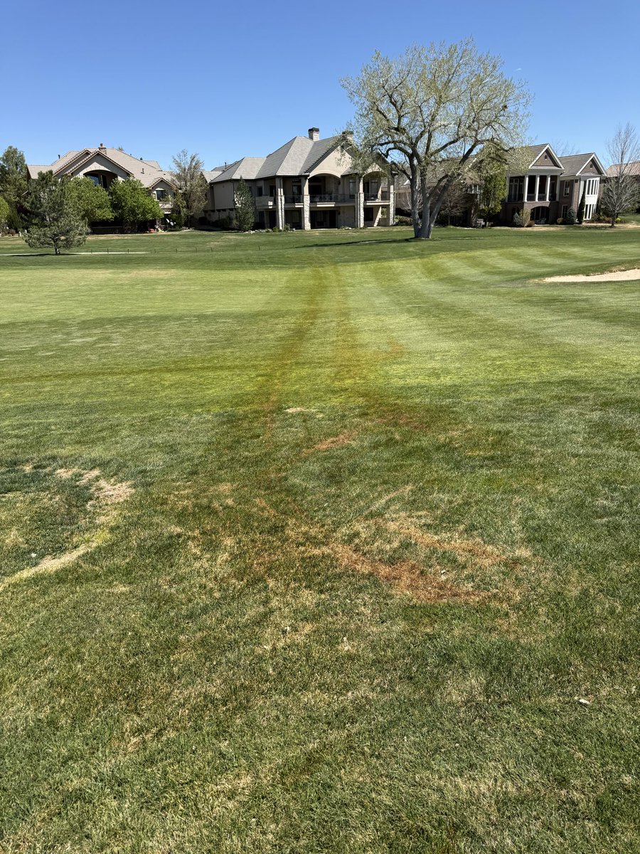 Lumbo0719's tweet photo. @WoodmoorGrounds I wish our guys caught ours as fast! https://t.co/rr2HtJ6uQi