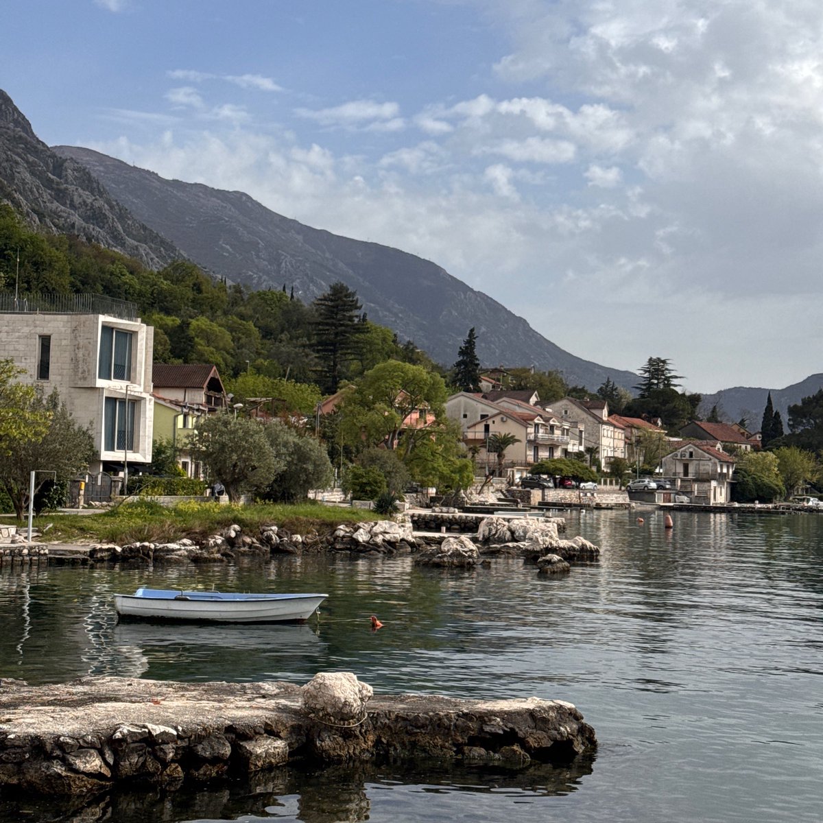 MissDefi tweet media