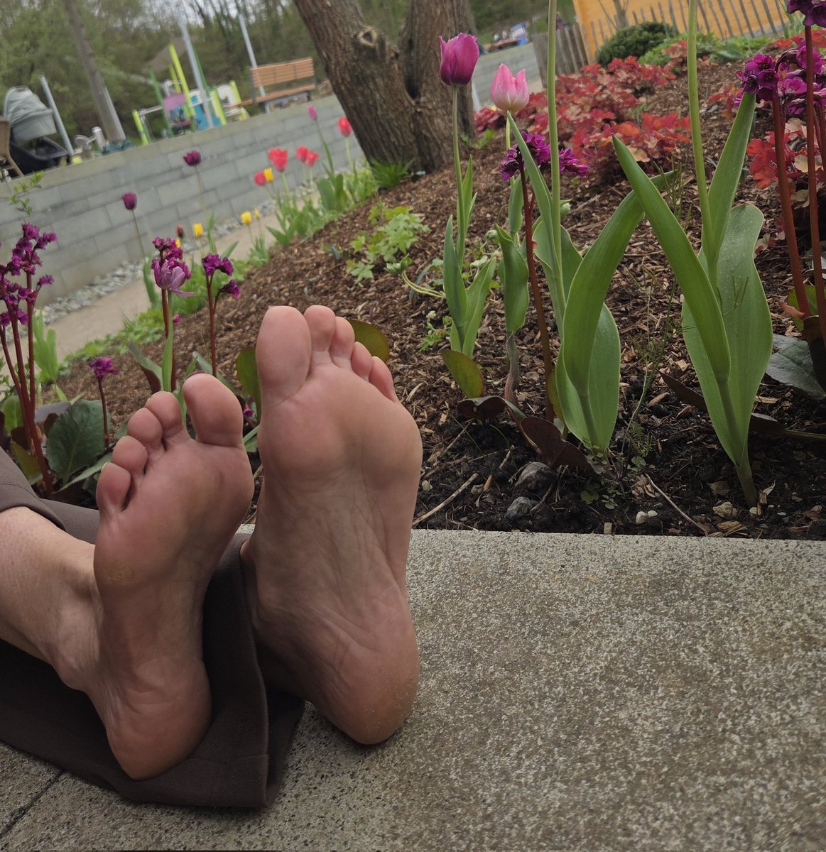 Isabel Lis tweet media