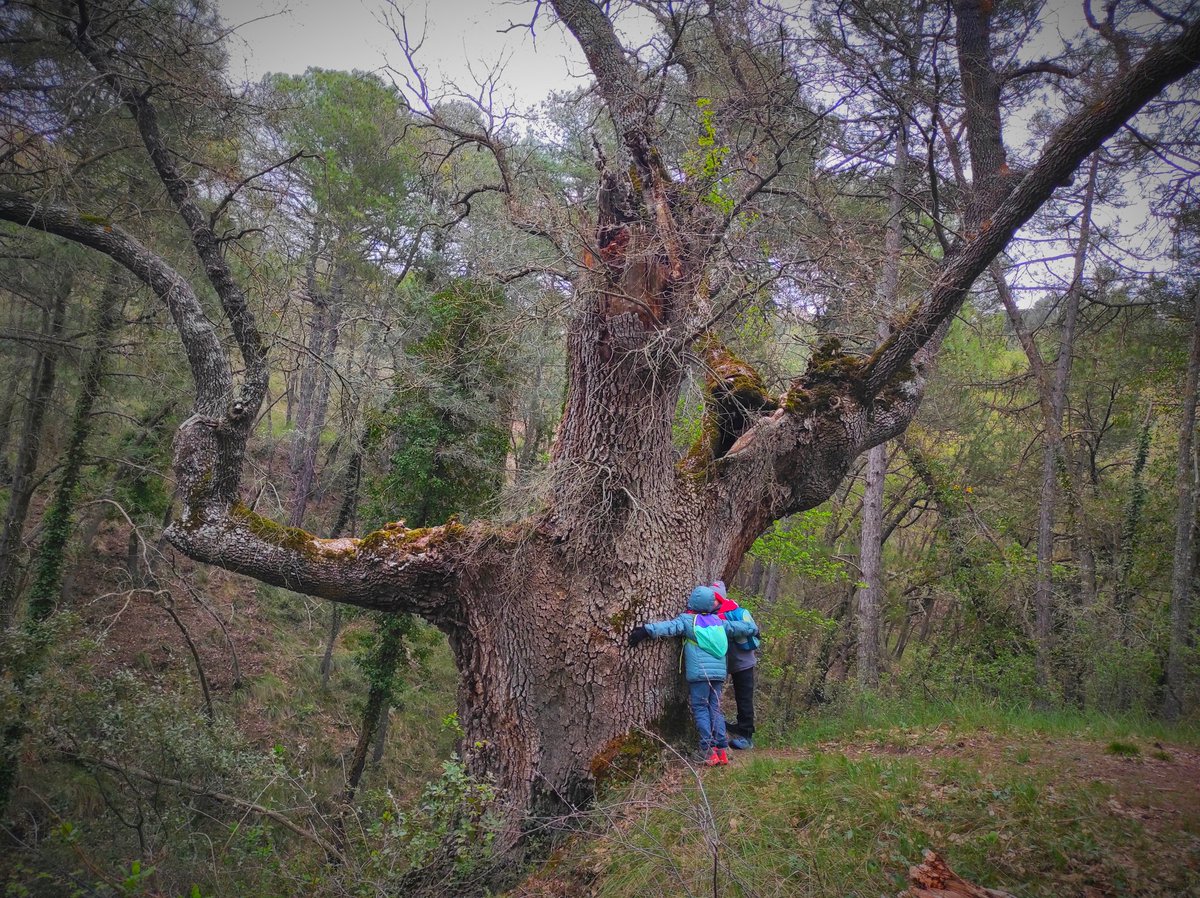 La primera excursió del trimestre! #Montsant #Albarca #Necròpolis #RouredelaRasa #SaltdelTeix  
<a href="/rdexcursionisme/">S.E. Reus Deportiu</a>
<a href="/ReusDeportiu/">Reus Deportiu</a>
#sommuntanya🏞️🌧️
#ForçaReus ⬛🟥

📸 J. Andreu