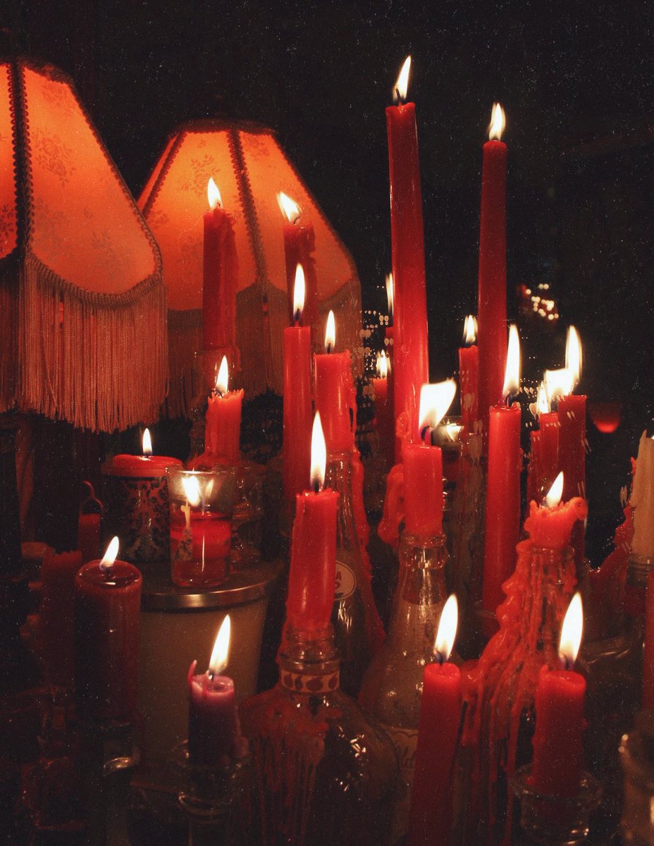 𖥔 ࣪˖ 𝓓𝓪𝔂𝓼𝓲 ⏾*:･ (@wildflowerdaysi) on Twitter photo 