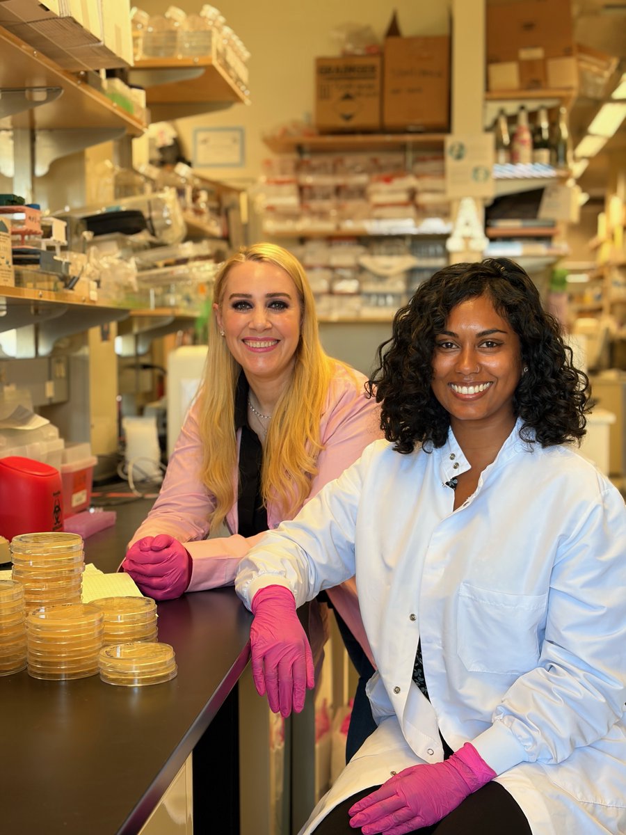 salkinstitute's tweet image. Naked mole rats have been especially fascinating little critters to scientists for decades. They are remarkably cancer-resistant, live over 30 years, and can survive in near-zero oxygen. In addition to their biological traits, they also have unique social structures.

The nearly