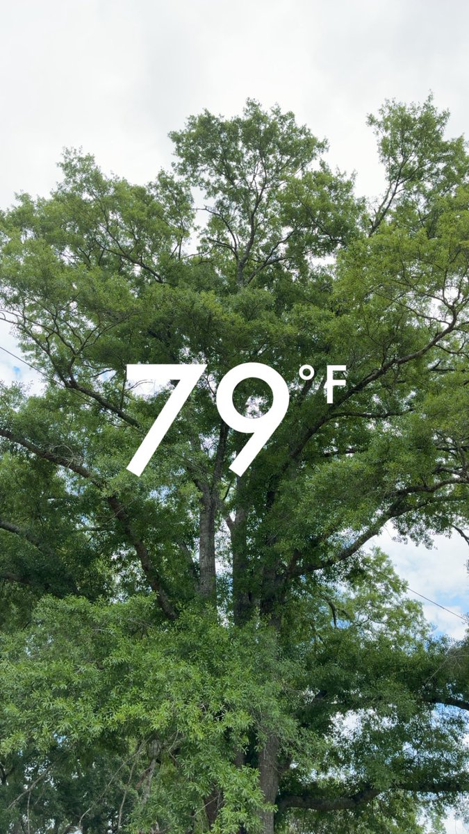 SheExclaimed's tweet image. #WednesdayWisdom #Wednesday #HumpDay #WednesdayMood #Mississippi