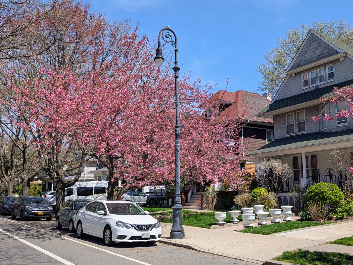 Experdiza's tweet image. Summer 🏝️ 🌞 is coming...
#NYC #Brooklyn #Pixel #Android #snapshots