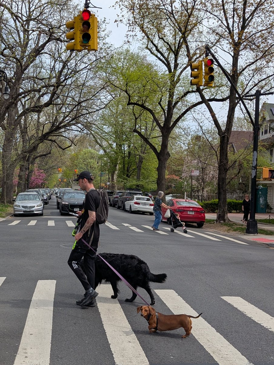 Experdiza's tweet image. Summer 🏝️ 🌞 is coming...
#NYC #Brooklyn #Pixel #Android #snapshots