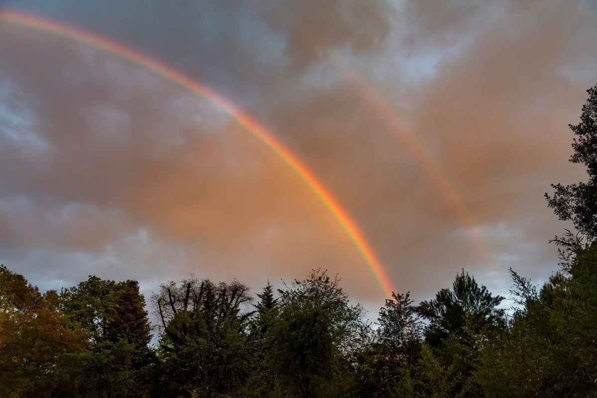 MeteoCotedAzur's tweet photo. ✨🌈 Depuis #Valbonne(06), le bel arc-en-ciel de ce soir a été bien visible, comme le montrent ces belles photos prises à 20h lors d’une petite averse passagère ayant débordé de l’arrière-pays. L’arc-en-ciel a également été observé depuis #Opio, #Mougins et #Mandelieu.

#Nice06 https://t.co/BQDPirOtSq