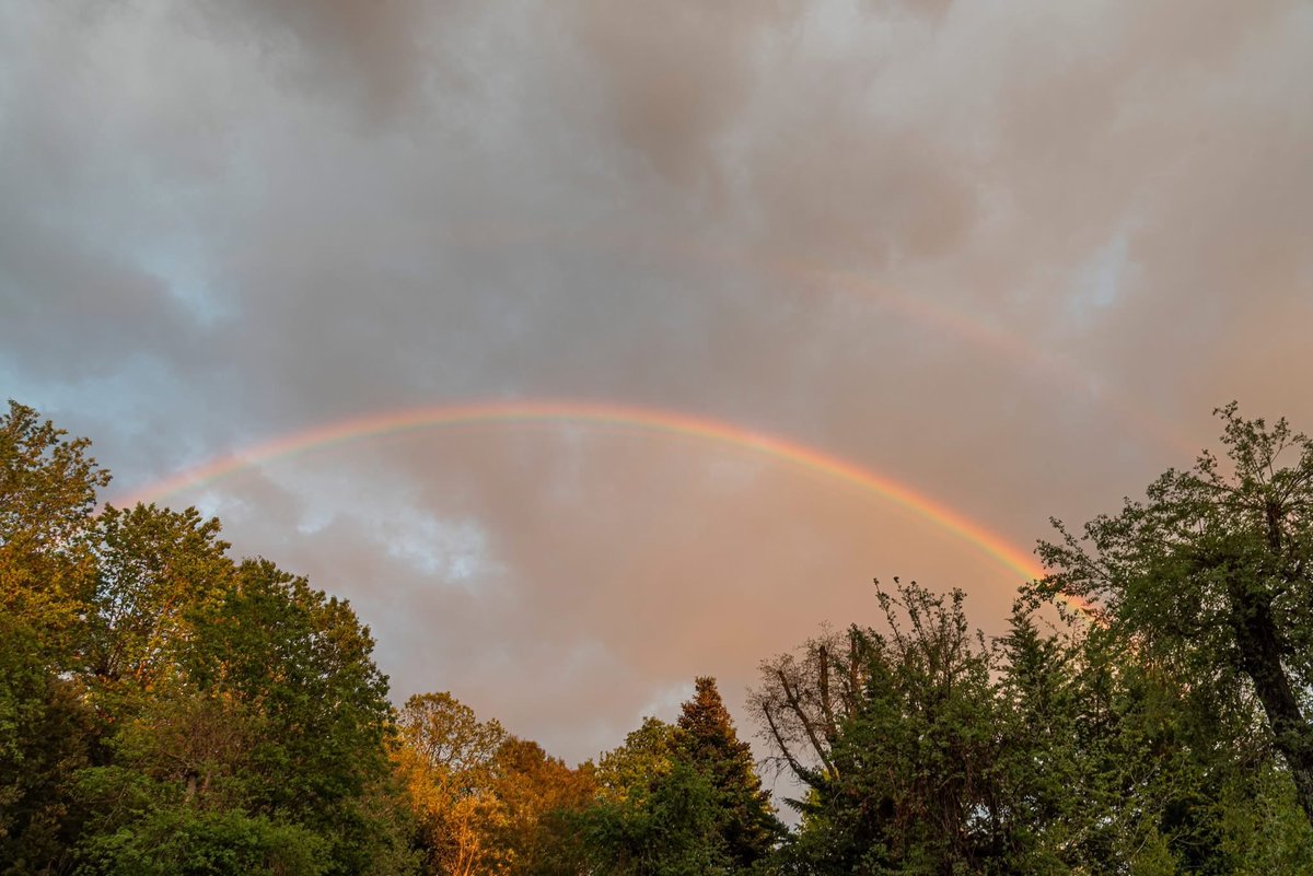 MeteoCotedAzur's tweet photo. ✨🌈 Depuis #Valbonne(06), le bel arc-en-ciel de ce soir a été bien visible, comme le montrent ces belles photos prises à 20h lors d’une petite averse passagère ayant débordé de l’arrière-pays. L’arc-en-ciel a également été observé depuis #Opio, #Mougins et #Mandelieu.

#Nice06 https://t.co/BQDPirOtSq