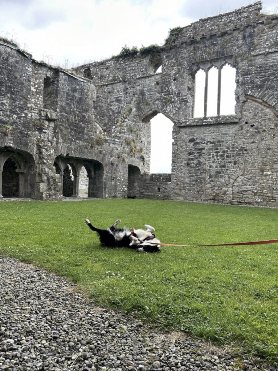 Dr Gillian Kenny tweet media