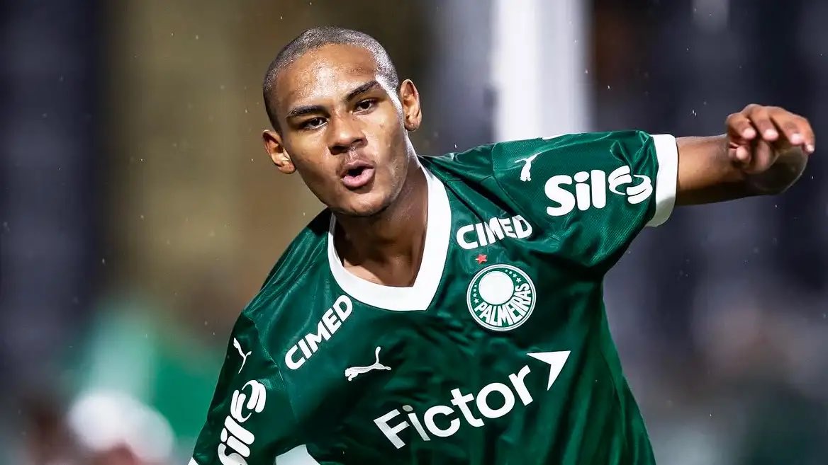 Ginga Bonito 🇧🇷 tweet media