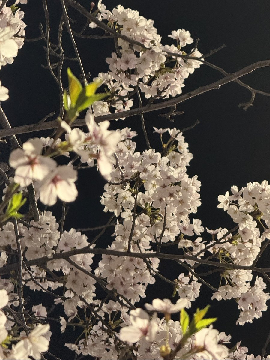 라브뜨hmh tweet media