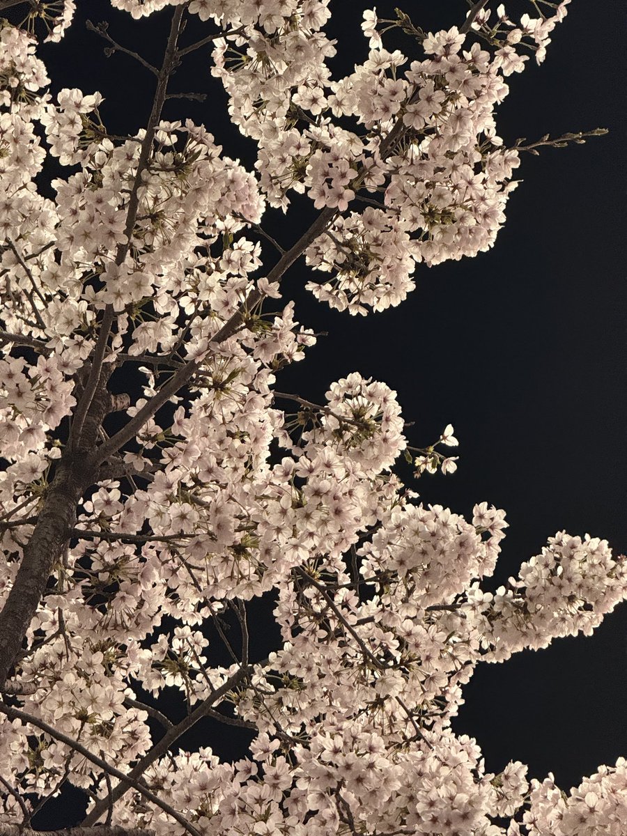 라브뜨hmh tweet media