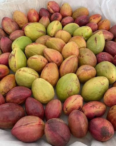 غيث الحارثي 🔻 tweet media