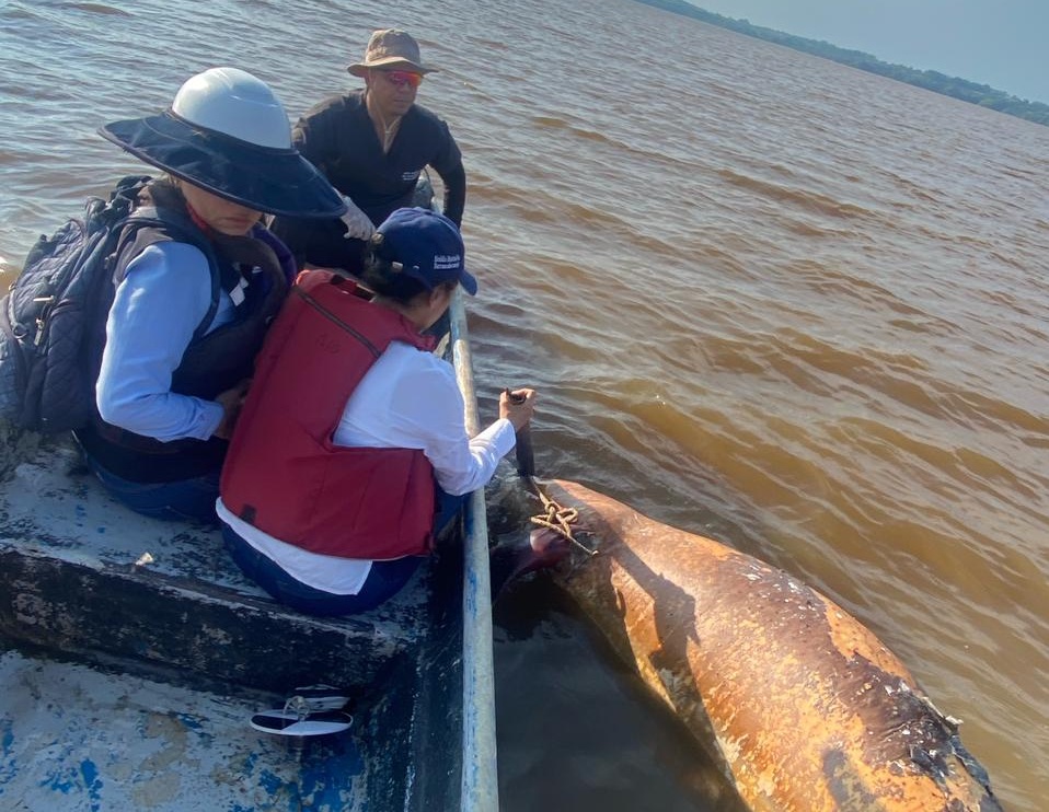 Metropolitano Noticias tweet media