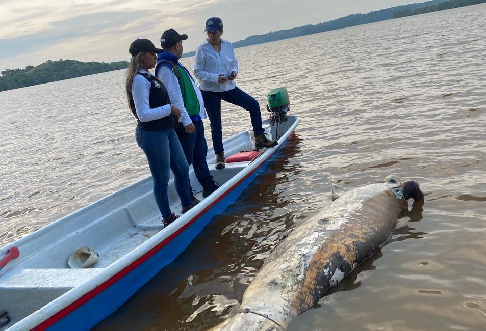 Metropolitano Noticias tweet media
