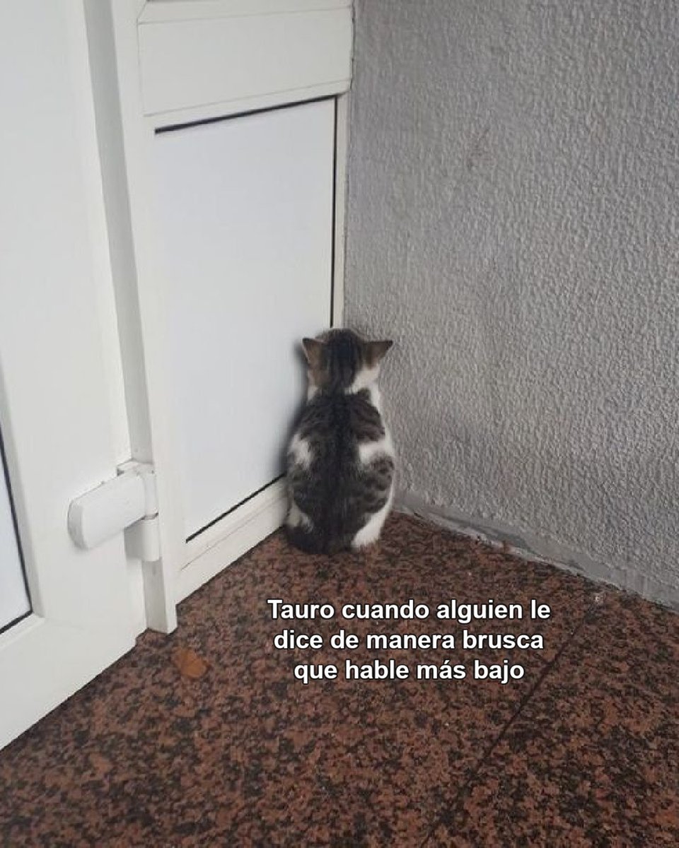 tauro_hn's tweet photo. Se olvidan que tenemos sentimientos 😂 https://t.co/rFC34TEeFy