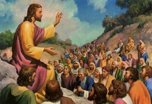 XENO 🧬 tweet media