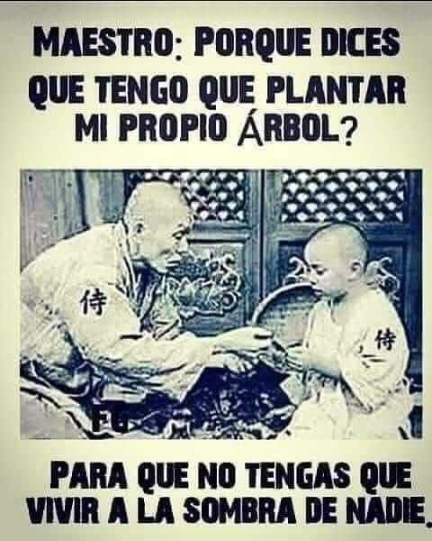 Rincón Curioso tweet media