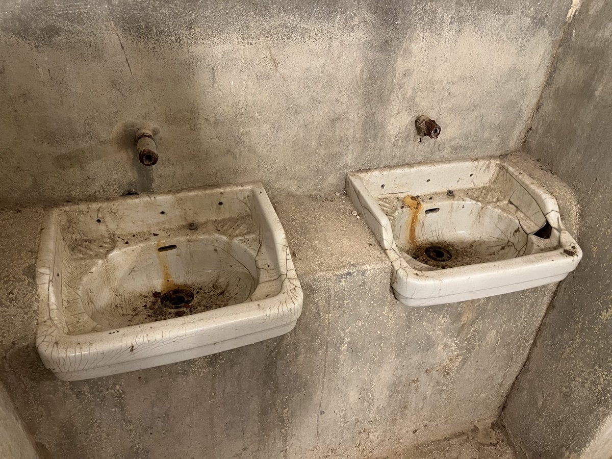 鞆(とも) tweet media