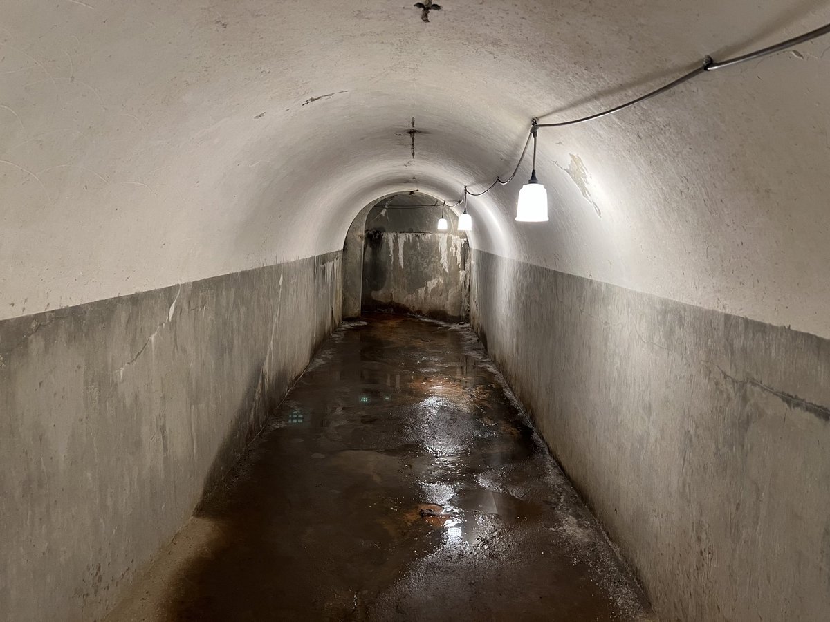 鞆(とも) tweet media