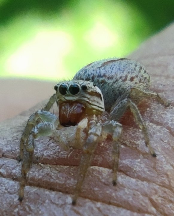 le demi-quartelin tweet media