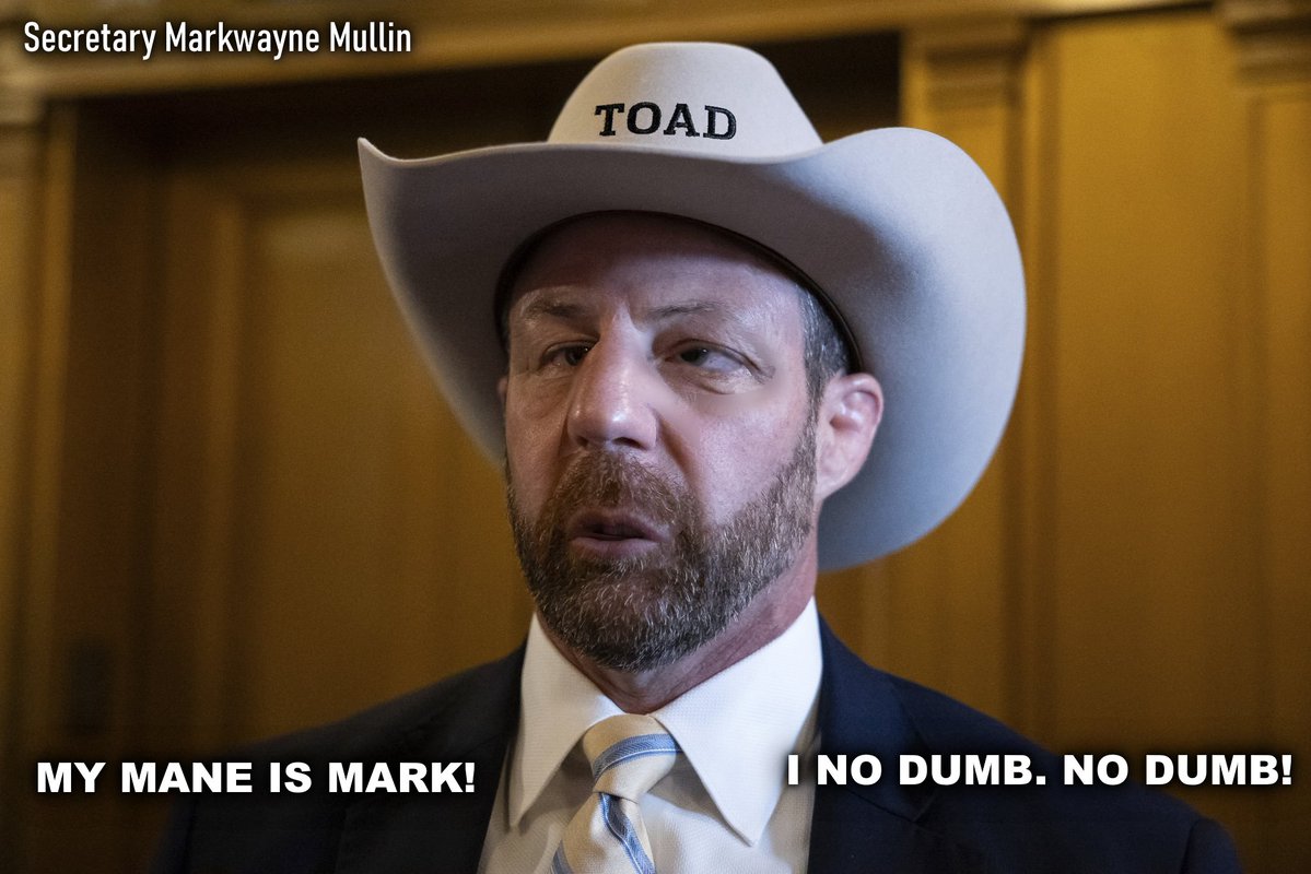 Pudding Fight tweet media