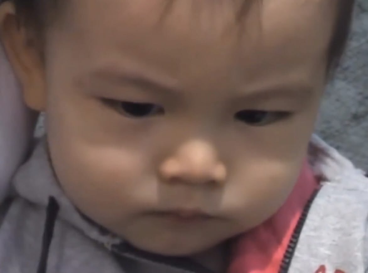 yippee ˙Ⱉ˙ tweet media