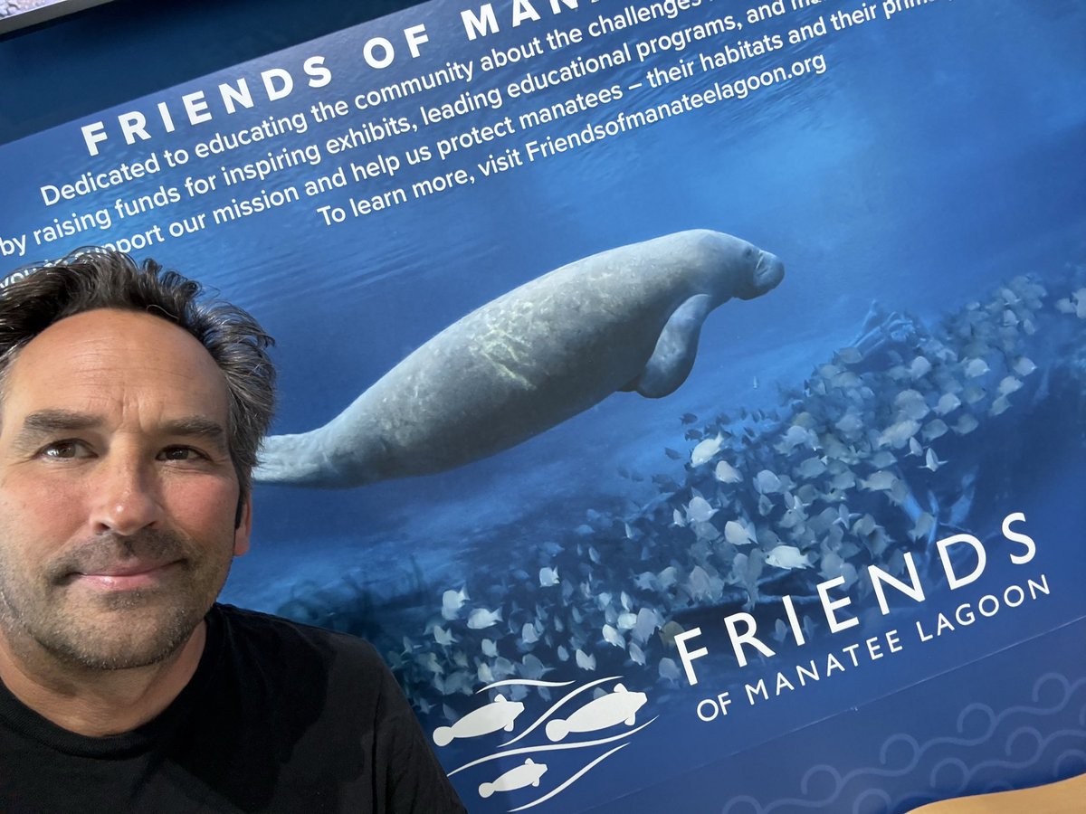 Walter_Kelley's tweet image. I’m a friend of the Manatee now. #manatee #fren