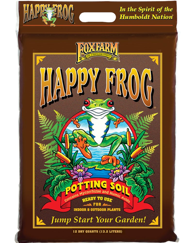 🟩Frog Chilling Place🟩 tweet media