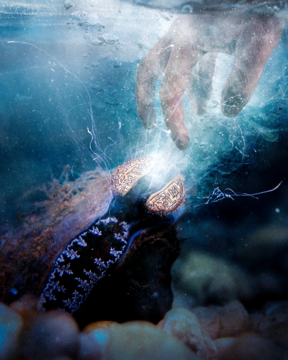 Eduardo Valdés-Hevia 👁️ tweet media